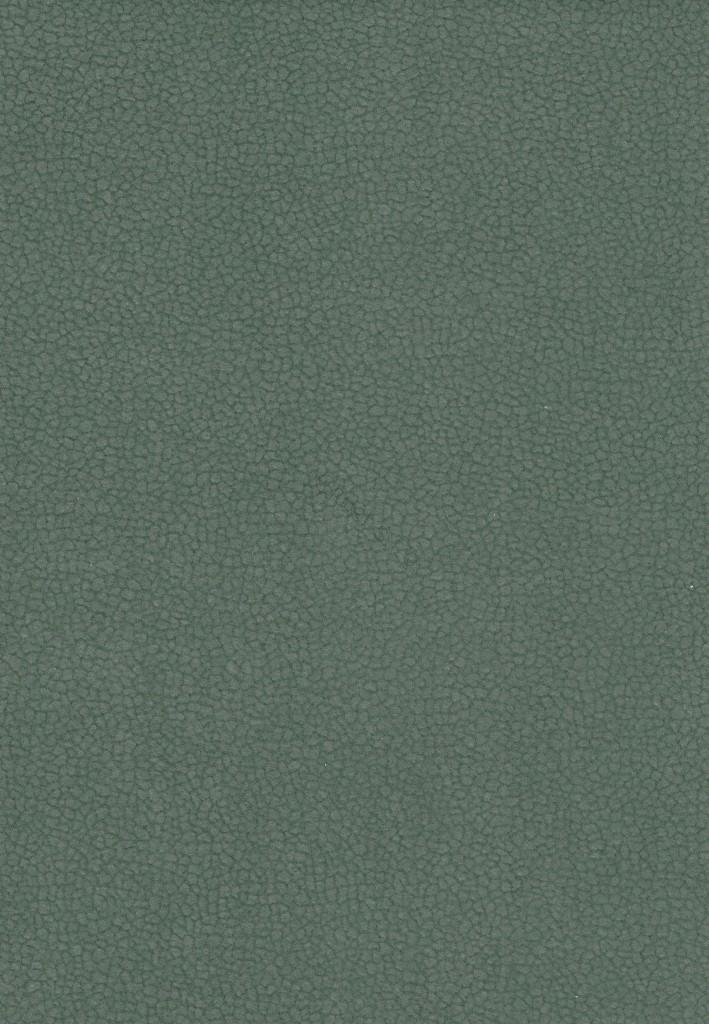 Carabu HP C/78